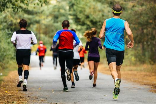 Gruppe von Läufern in Sportkleidung joggt auf einem schmalen Weg durch einen bewaldeten Park.